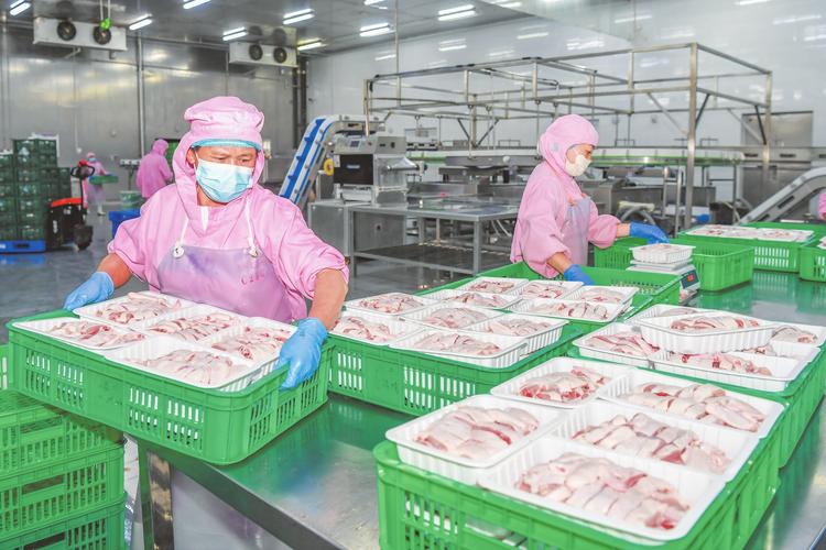 海口日报数字报&middot;海口网